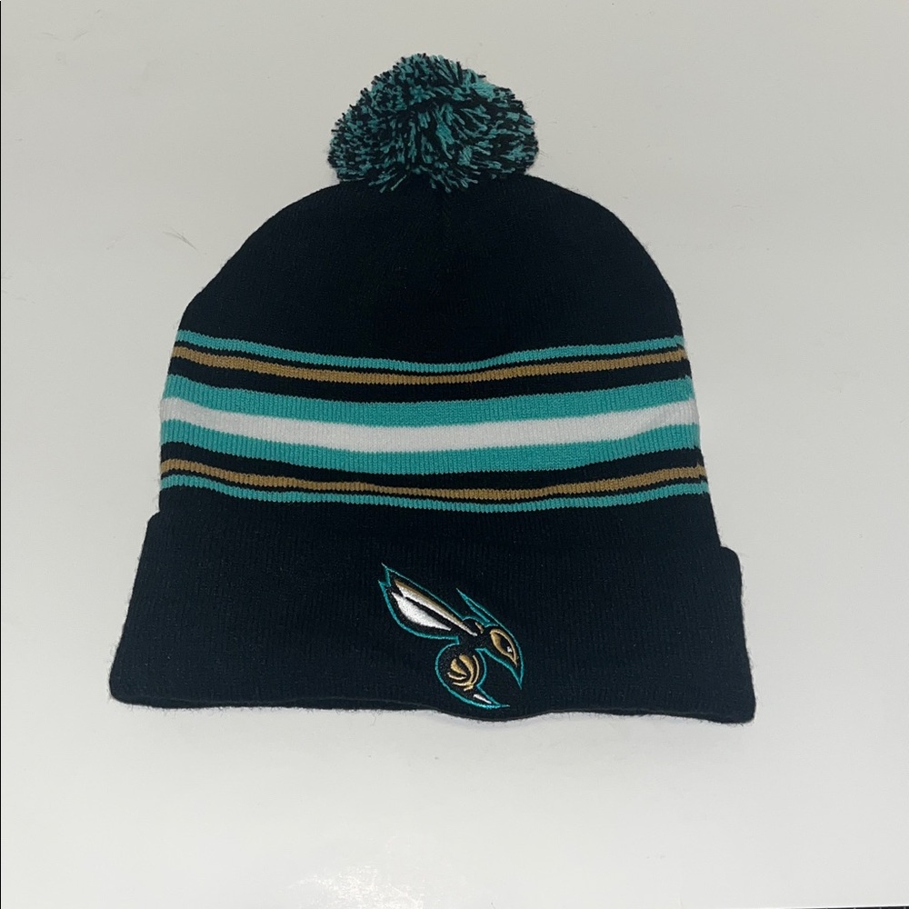Charlotte Hornets NBA Beanie 1/25/25 Giveaway Limited Mint City Edition